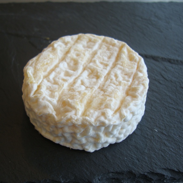 pelardon fromage uzès