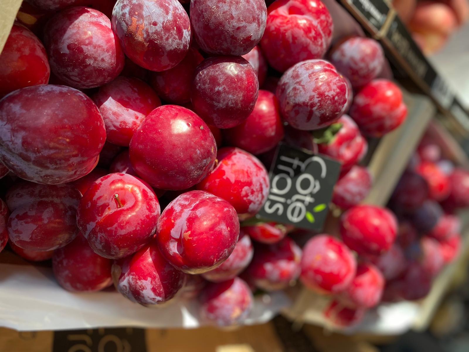 fruits d'été prunes