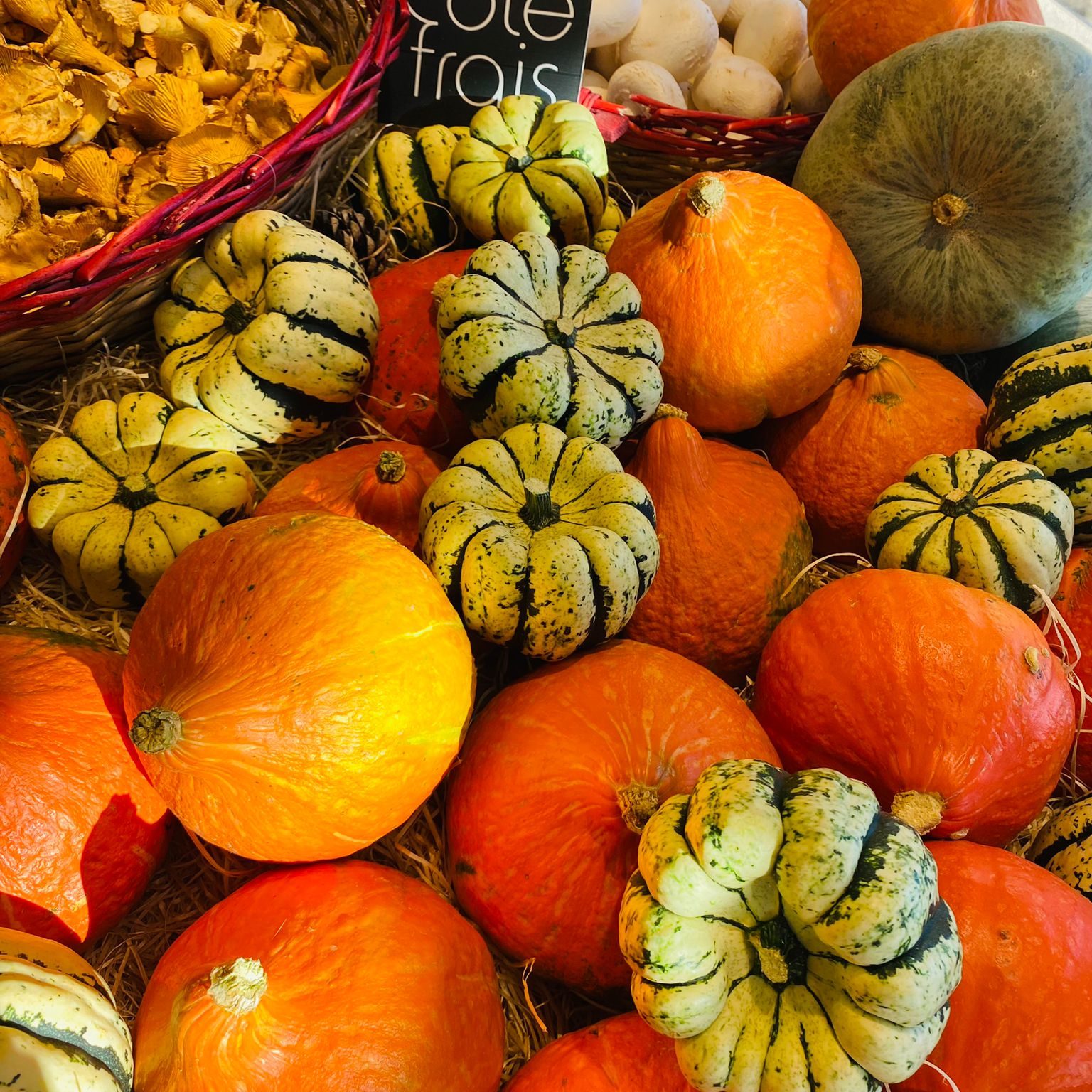 fruits d'automne côté frais